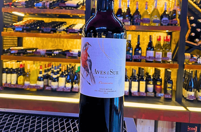 Aves Del Sur Carmenere wino chilijskie wytrawne 0,75L